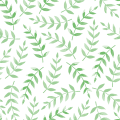 APP下载赌侠公会争霸版-APP下载赌侠官方手机APP最新版/下载安装IOS安卓入口